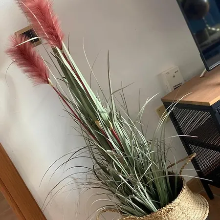 Casablanca Ii Διαμέρισμα Costa Adeje (Tenerife)